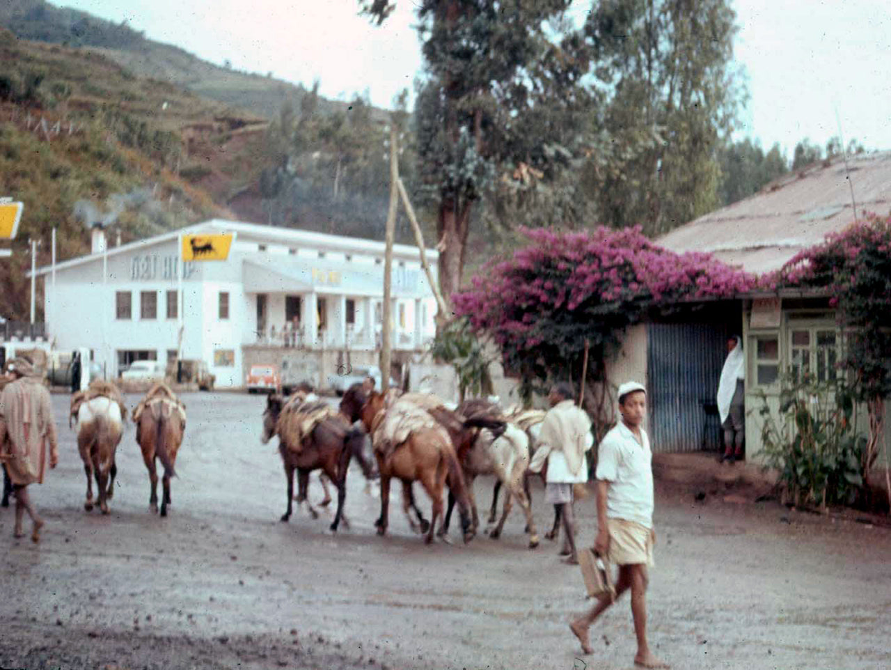 Addis Nostalgia Series II: Agip