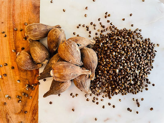 Korerima - Ethiopian Cardamom