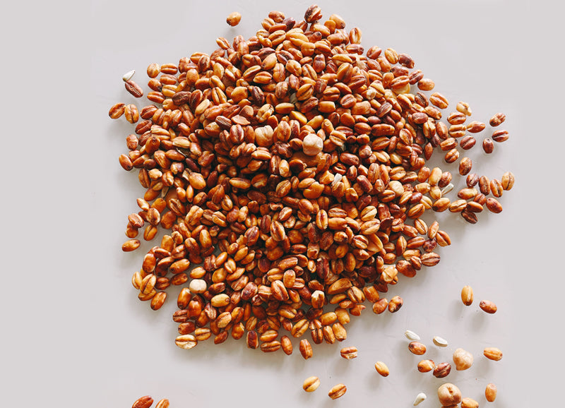 Qolo | Roasted Grain Snack